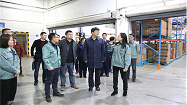 Z6·尊龙凯时「中国」官方网站